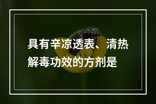 具有辛凉透表、清热解毒功效的方剂是