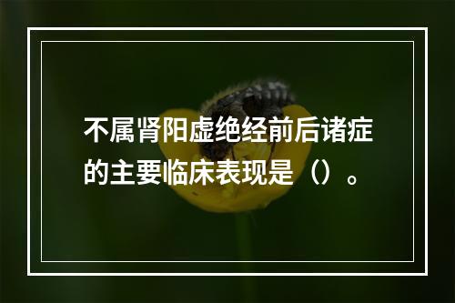 不属肾阳虚绝经前后诸症的主要临床表现是（）。