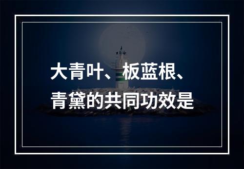 大青叶、板蓝根、青黛的共同功效是