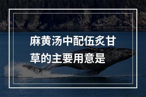 麻黄汤中配伍炙甘草的主要用意是