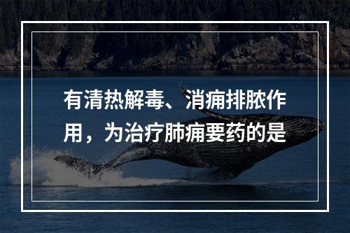 有清热解毒、消痈排脓作用，为治疗肺痈要药的是