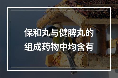 保和丸与健脾丸的组成药物中均含有