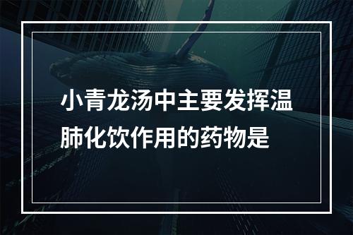 小青龙汤中主要发挥温肺化饮作用的药物是