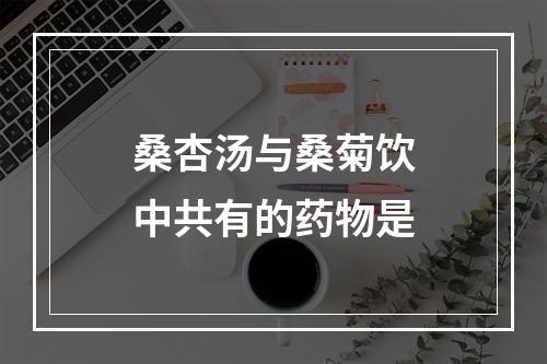 桑杏汤与桑菊饮中共有的药物是