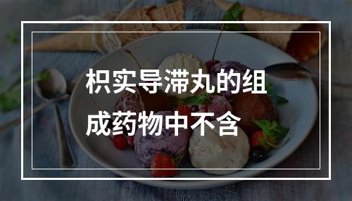 枳实导滞丸的组成药物中不含