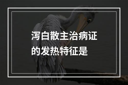 泻白散主治病证的发热特征是