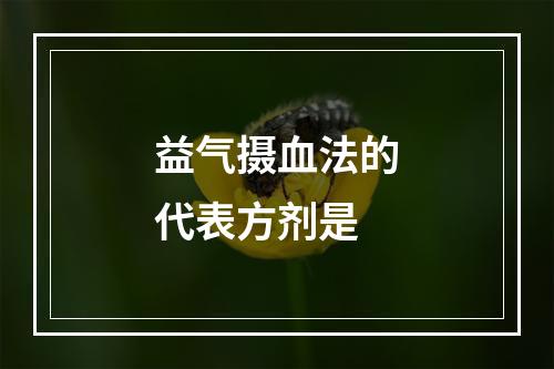 益气摄血法的代表方剂是