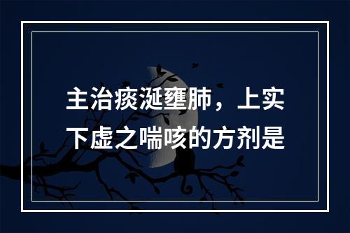 主治痰涎壅肺，上实下虚之喘咳的方剂是