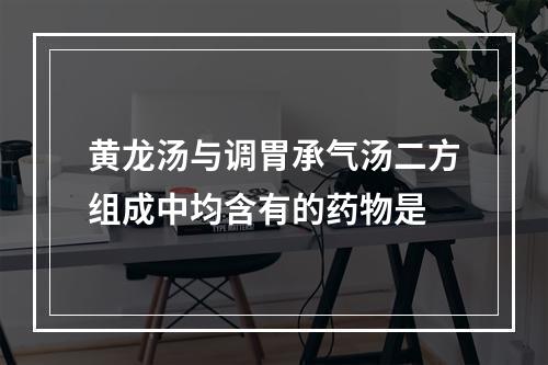 黄龙汤与调胃承气汤二方组成中均含有的药物是