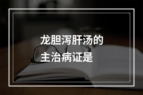 龙胆泻肝汤的主治病证是