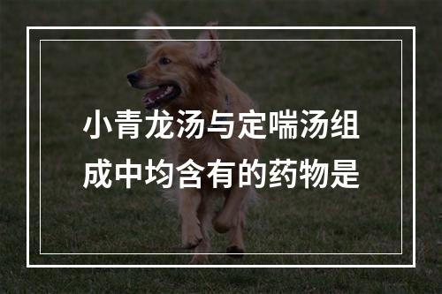 小青龙汤与定喘汤组成中均含有的药物是