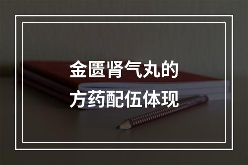 金匮肾气丸的方药配伍体现