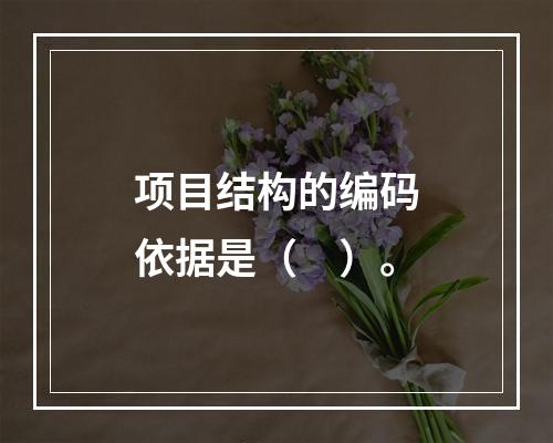 项目结构的编码依据是（　）。