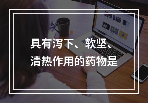 具有泻下、软坚、清热作用的药物是