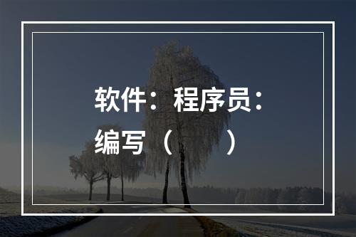 软件：程序员：编写（　　）