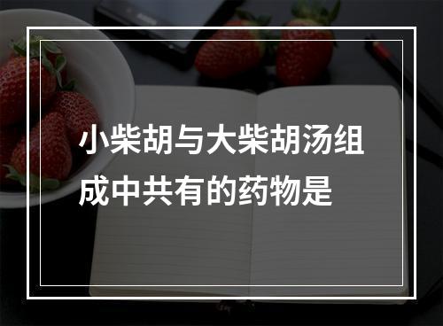 小柴胡与大柴胡汤组成中共有的药物是