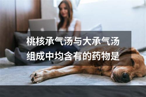 桃核承气汤与大承气汤组成中均含有的药物是