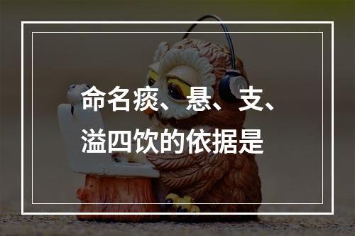 命名痰、悬、支、溢四饮的依据是