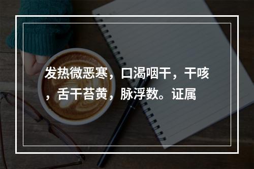 发热微恶寒，口渴咽干，干咳，舌干苔黄，脉浮数。证属