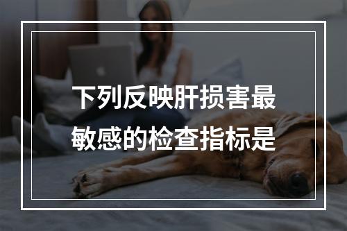 下列反映肝损害最敏感的检查指标是