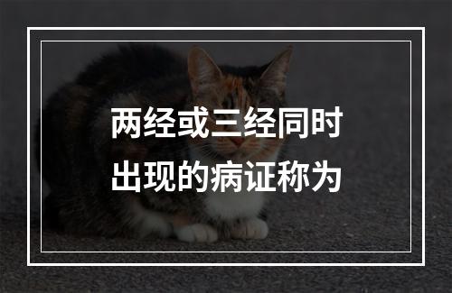 两经或三经同时出现的病证称为