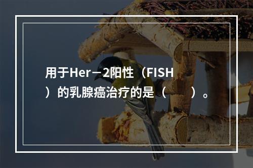 用于Her－2阳性（FISH）的乳腺癌治疗的是（　　）。