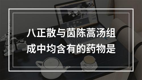 八正散与茵陈蒿汤组成中均含有的药物是