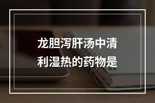 龙胆泻肝汤中清利湿热的药物是