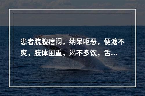 患者脘腹痞闷，纳呆呕恶，便溏不爽，肢体困重，渴不多饮，舌红，