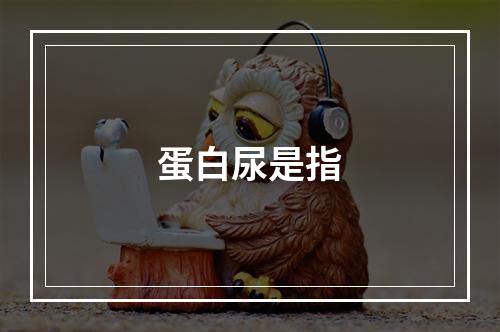 蛋白尿是指