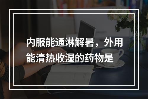 内服能通淋解暑，外用能清热收湿的药物是