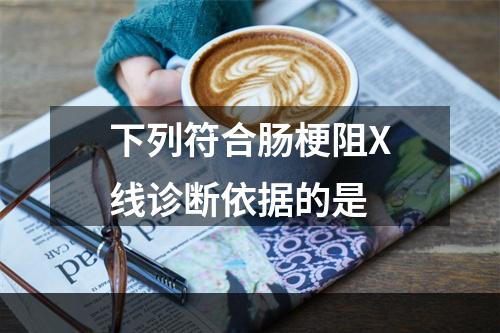 下列符合肠梗阻X线诊断依据的是