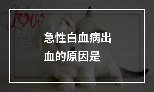 急性白血病出血的原因是