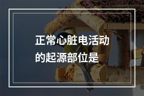 正常心脏电活动的起源部位是