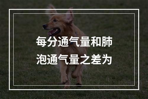 每分通气量和肺泡通气量之差为