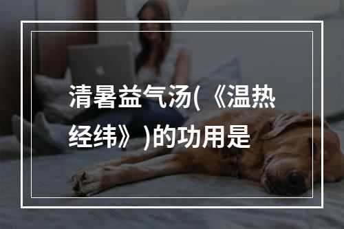 清暑益气汤(《温热经纬》)的功用是