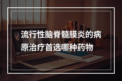 流行性脑脊髓膜炎的病原治疗首选哪种药物