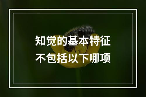 知觉的基本特征不包括以下哪项