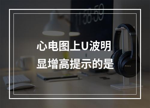 心电图上U波明显增高提示的是