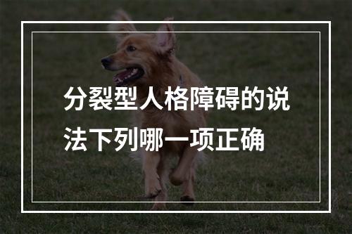 分裂型人格障碍的说法下列哪一项正确