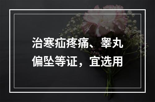 治寒疝疼痛、睾丸偏坠等证，宜选用