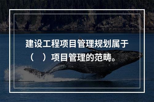 建设工程项目管理规划属于（　）项目管理的范畴。