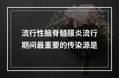 流行性脑脊髓膜炎流行期间最重要的传染源是