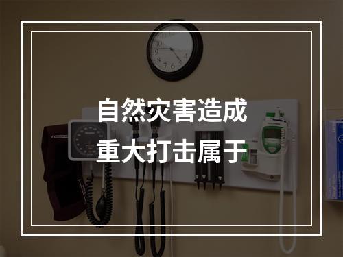 自然灾害造成重大打击属于