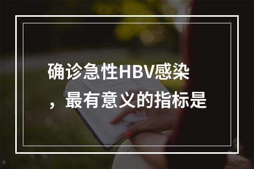 确诊急性HBV感染，最有意义的指标是