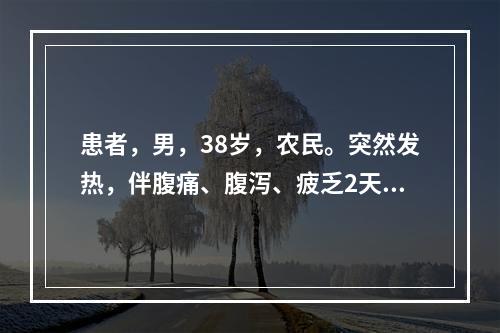 患者，男，38岁，农民。突然发热，伴腹痛、腹泻、疲乏2天，每