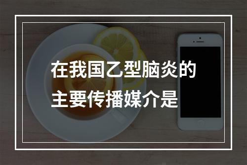 在我国乙型脑炎的主要传播媒介是