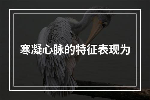 寒凝心脉的特征表现为