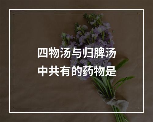 四物汤与归脾汤中共有的药物是