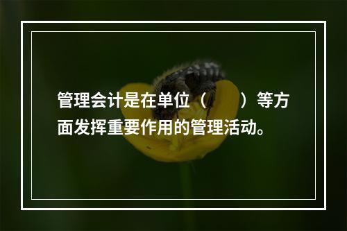 管理会计是在单位（　　）等方面发挥重要作用的管理活动。